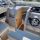 Quicksilver Activ 705. Silver Spray Wheelhouse pic  4