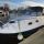 Regal 2460 Kiwi Rose Advert 2