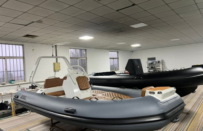 Rebel Riot 420 pic 2