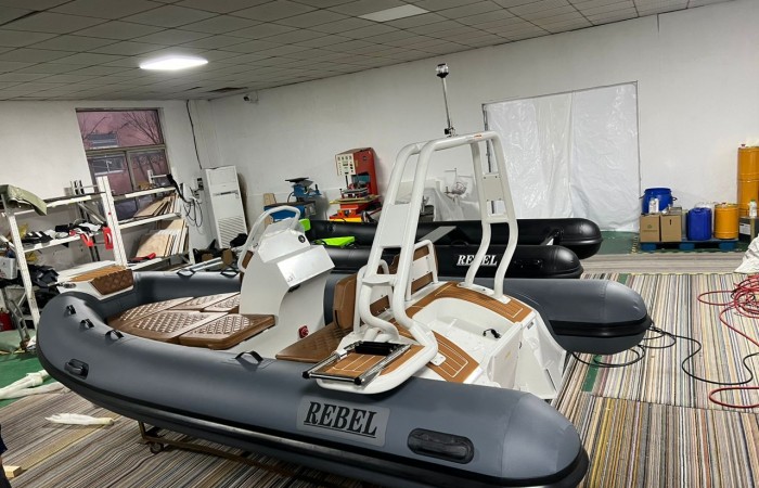 Rebel Riot 420 pic 3