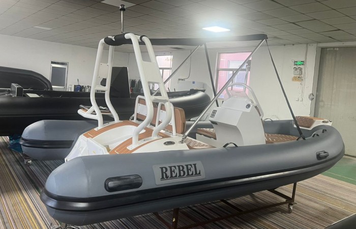 Rebel Riot 420 optional Bimini pic 1