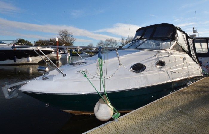 Regal 2460 Kiwi Rose Advert 3