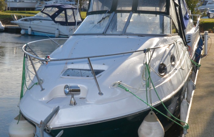 Regal 2460 Kiwi Rose Advert 4