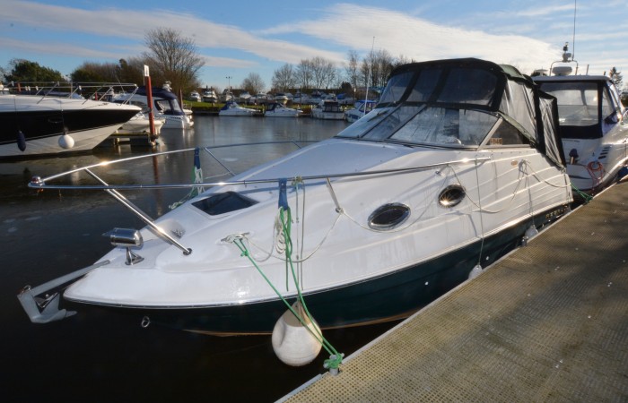 Regal 2460 Kiwi Rose Advert 2