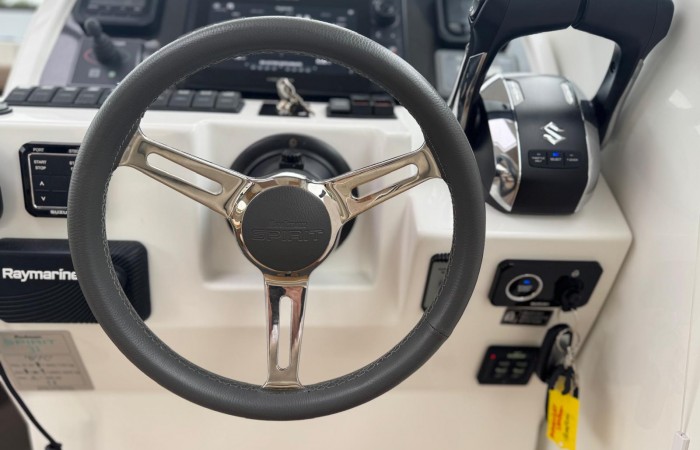 Rodman Spirit 31 pic 14