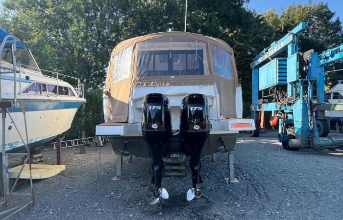 Rodman Spirit 31 pic 35