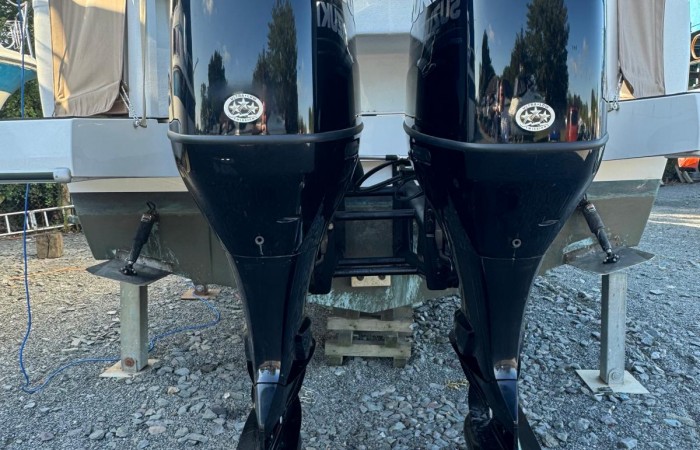 Rodman Spirit 31 pic 36