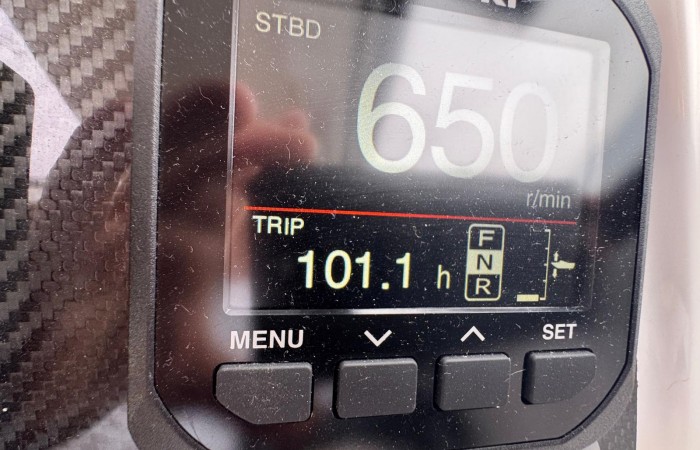 Rodman Spirit 31 pic 16