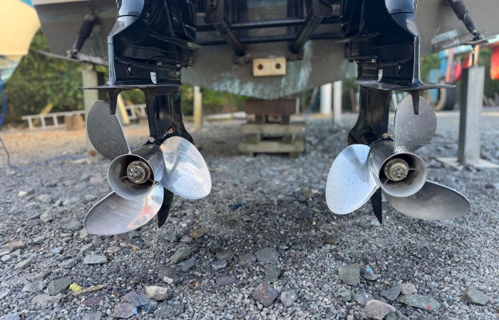 Rodman Spirit 31 pic 37