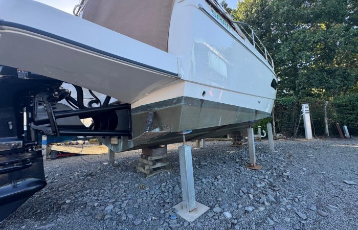 Rodman Spirit 31 pic 32