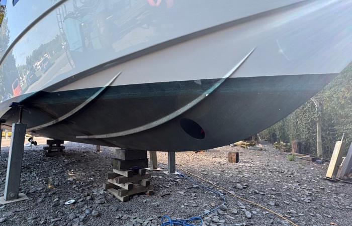 Rodman Spirit 31 pic 33